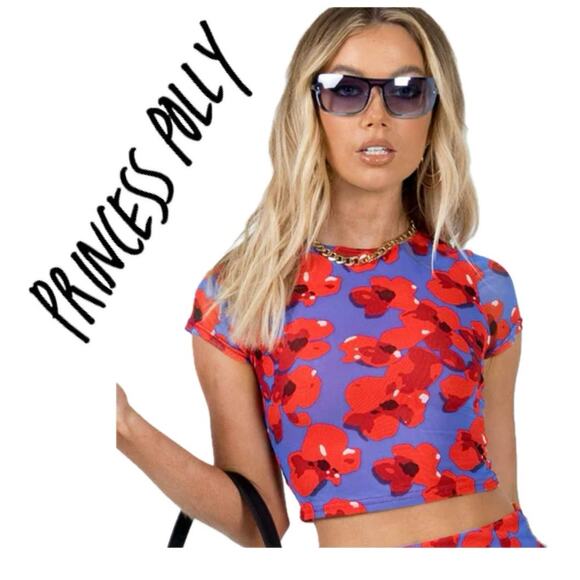 Princess Polly Tops - PRINCESS POLLY XX CROP TOP RED FLORAL BLUE SZ 2 MESH AESTHETIC TRENDY